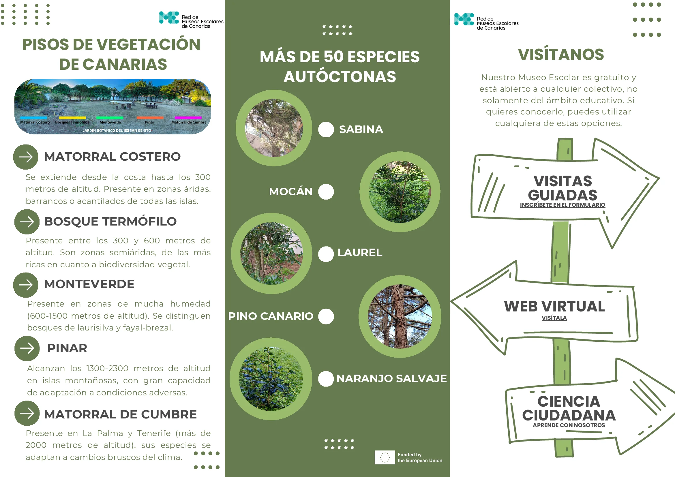 Folleto 2 del Museo Escolar Jardín Botánico IES San Benito