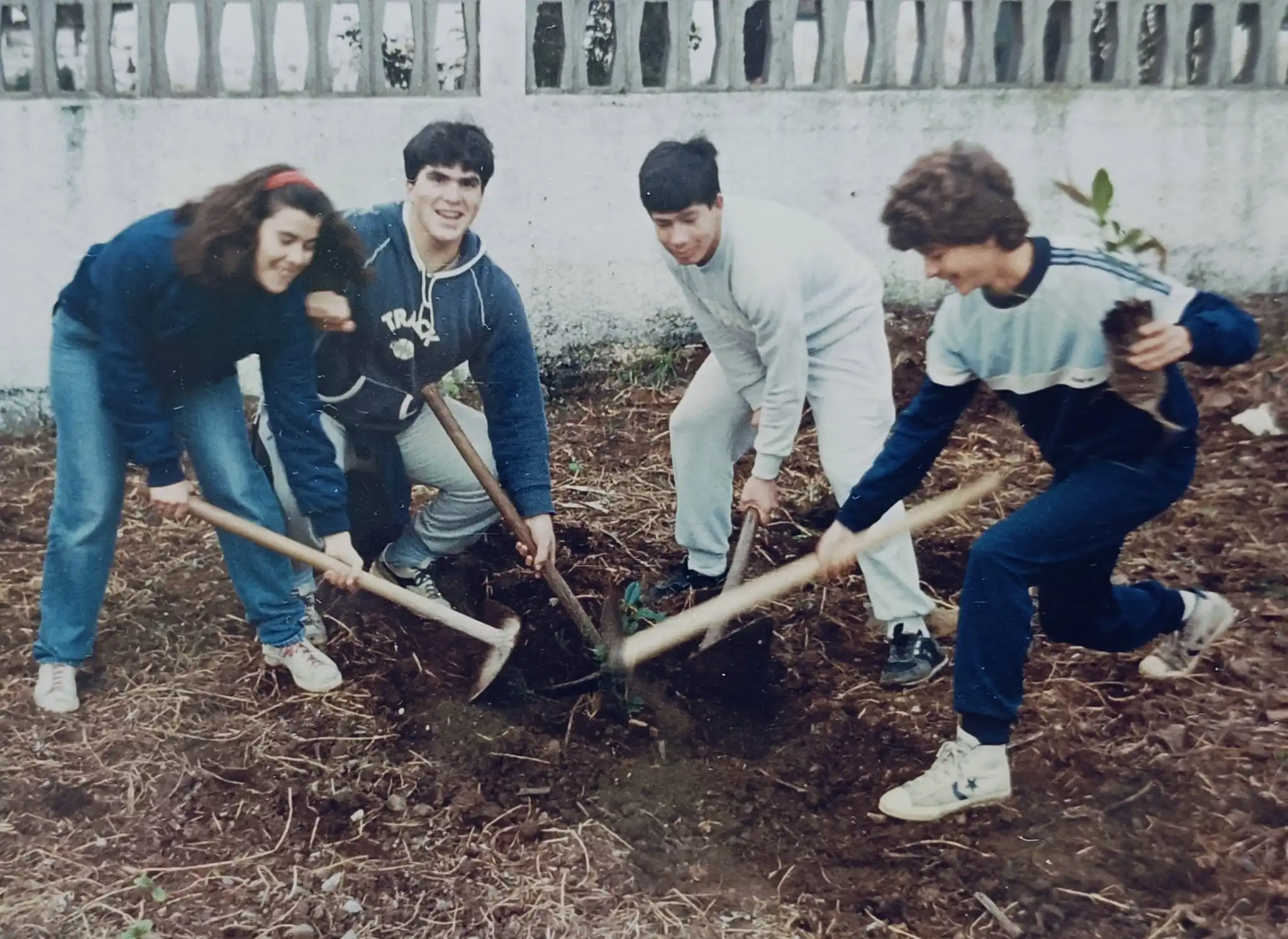Jardín Botánico IES San Benito - Imagen 4