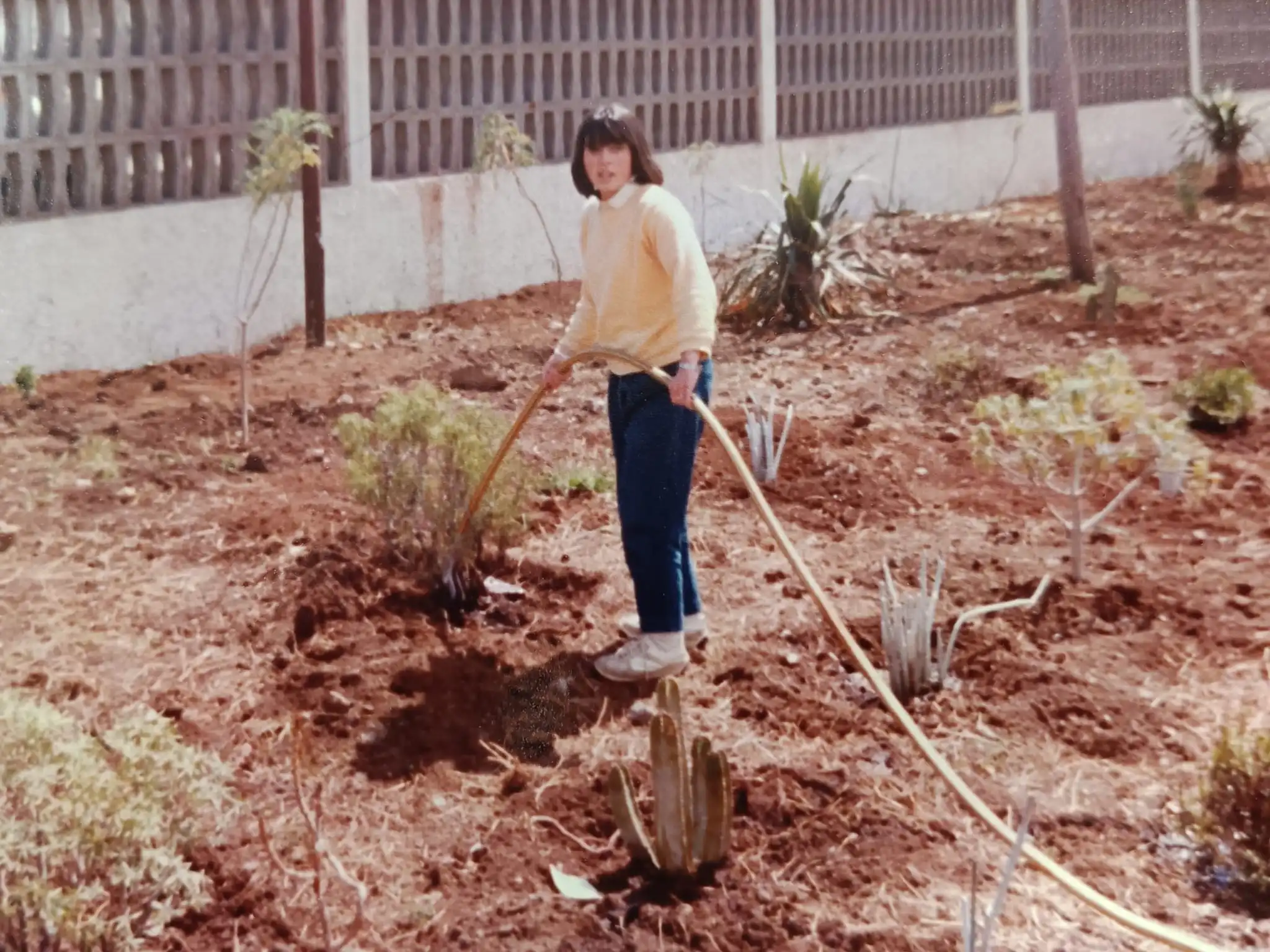 Jardín Botánico IES San Benito - Imagen 5